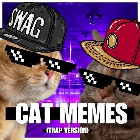 Cat Memes (Trap Version) | Boomplay Music