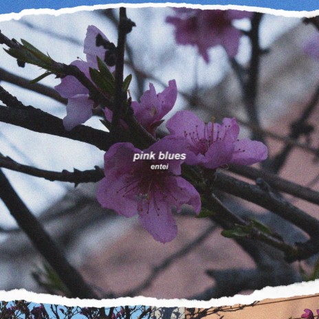 Pink Blues | Boomplay Music