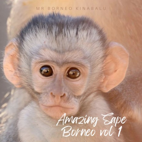 Amazing Sape Borneo, Vol. 1