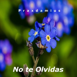 No te olvidas