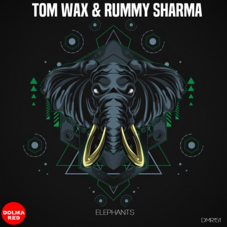 Elephants (Elephants Rummy Sharma Mix) ft. Rummy Sharma