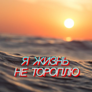 Я жизнь не тороплю