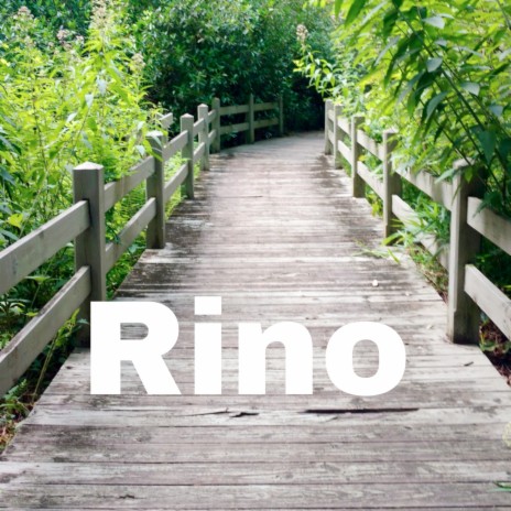 Rino | Boomplay Music