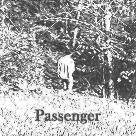 Passenger | Boomplay Music