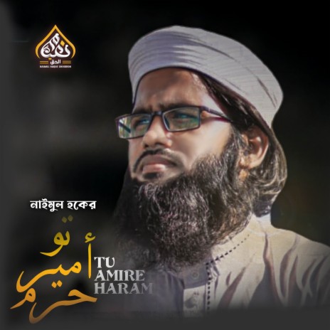 Tu Amire Haram | Boomplay Music