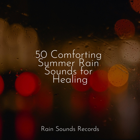 Enchanted Avian Journey ft. Relaxing Rain Sounds & Meeresrauschen | Boomplay Music