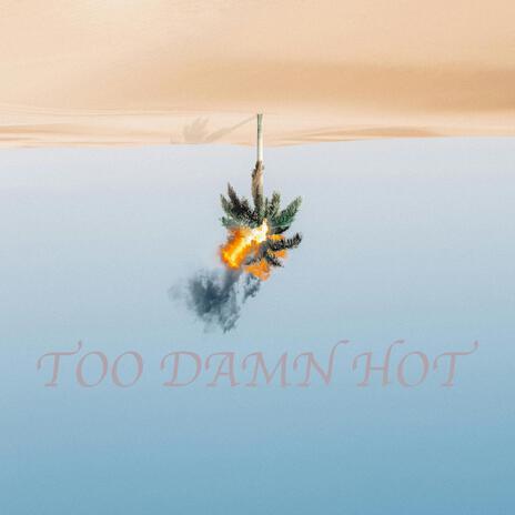 Too Damn Hot | Boomplay Music