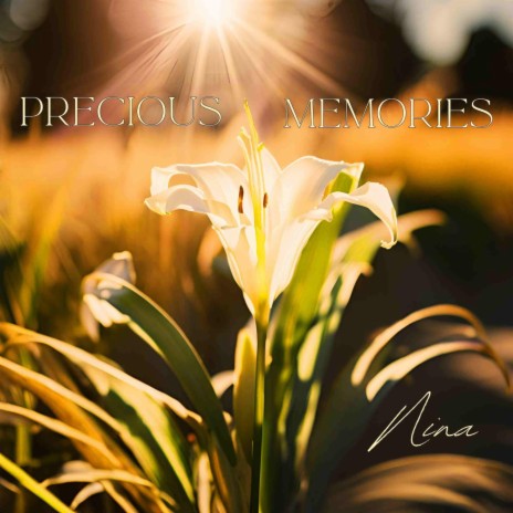 Precious Memories (Radio Edit) | Boomplay Music