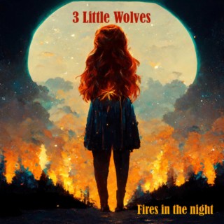 Fires in the Night