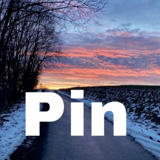 Pin