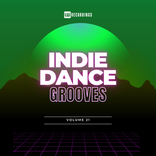 Indie Dance Grooves, Vol. 21