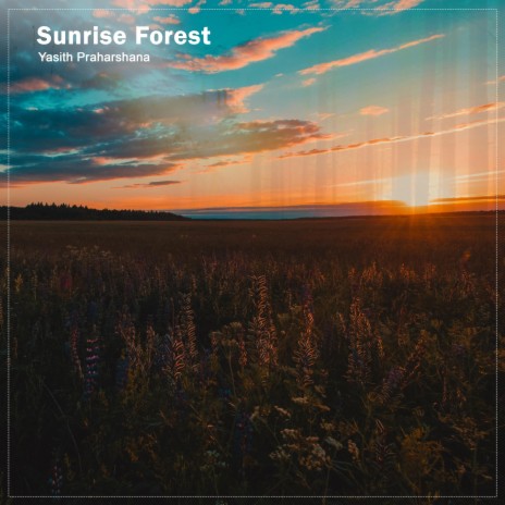 Sunrise Forest | Boomplay Music