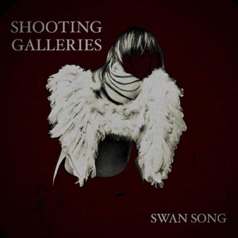 Swan Song | Boomplay Music