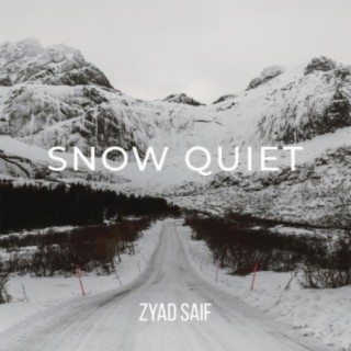 Relaxing Music Snow Quiet