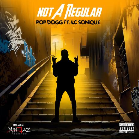 Not A Regular ft. LC Sonique | Boomplay Music