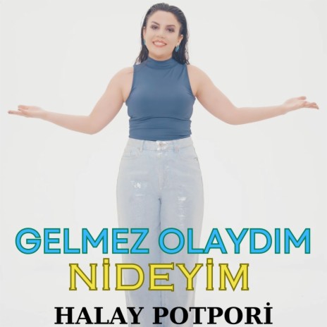 Gelmez Olaydım / Nideyim (Halay Potpori) | Boomplay Music