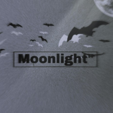 Moonlight | Boomplay Music