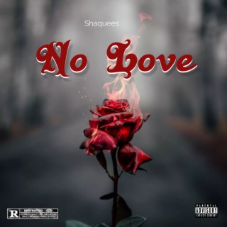 No Love