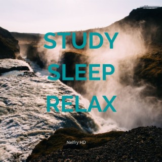 Study Sleep Relax