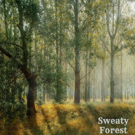 Sweaty Forest | Boomplay Music
