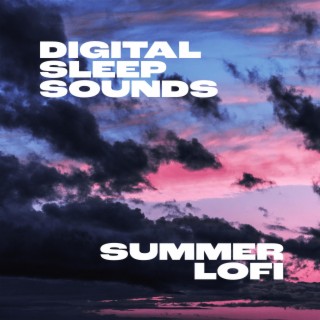 Summer Lofi (feat. Adam Stoner)