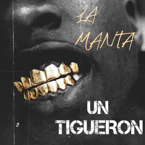 LA MANTA (Ella Quiere Un Tigueron) | Boomplay Music