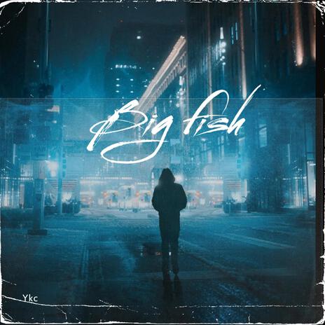 Big Fish | Boomplay Music