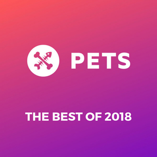 Pets Recordings Best of 2018