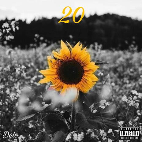 20 | Boomplay Music