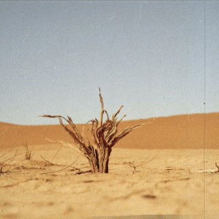 The Desert Tapes