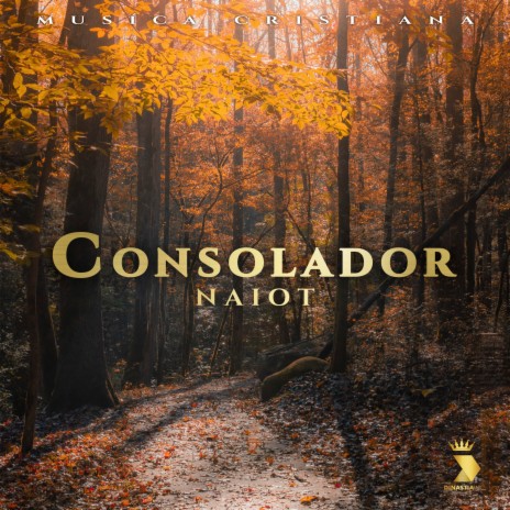 Consolador | Boomplay Music