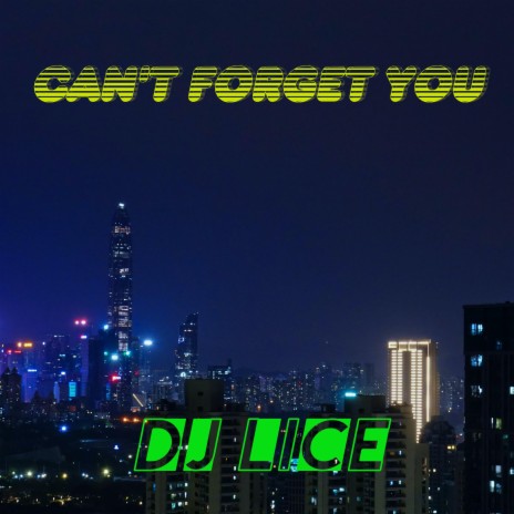 Can't Forget You (Radio Edit)