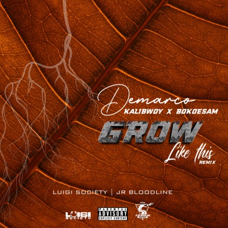 Grow Like This (Remix) ft. kalibwoy, bokoesam, luigi society & jr bloodline | Boomplay Music