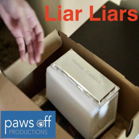 Liar Liars | Boomplay Music
