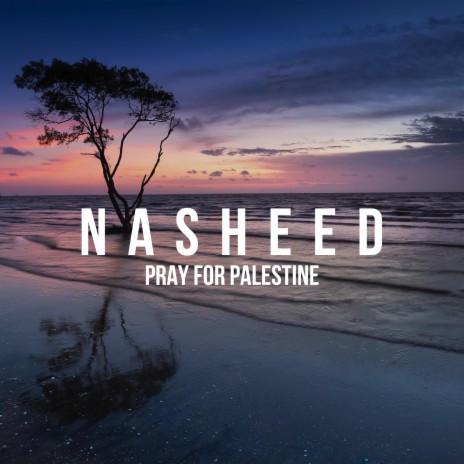 Pray For Palestine | Boomplay Music