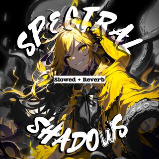 Spectral Shadows (Slowed + Reverb) | Boomplay Music