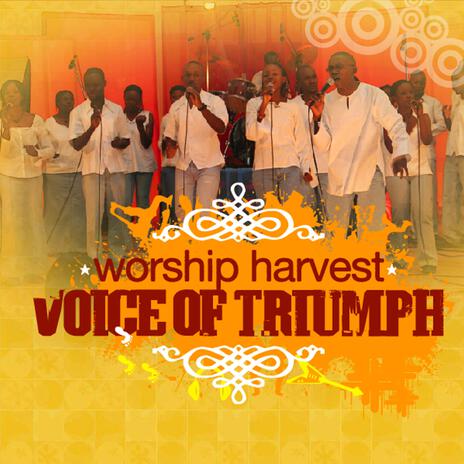 Voice Of Triumph (The Remix)