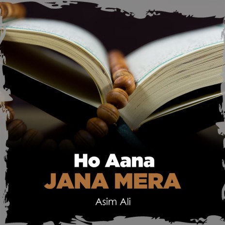 Ho Aana Jana Mera | Boomplay Music