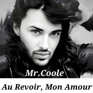 Au Revoir, Mon Amour lyrics | Boomplay Music