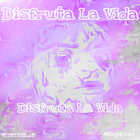 Disfruta La Vida (Extended Mix) | Boomplay Music