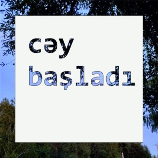 Cəy Başladı