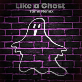Like a Ghost (TAME Remix)