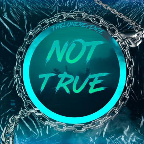 Not True | Boomplay Music