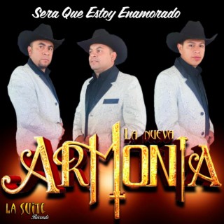 Sera Que Estoy Enamorado (La Nueva Armonia)