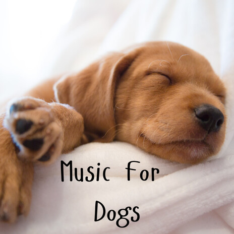 Meditative Sleep ft. Music For Dogs Peace, Relaxing Puppy Music & Calm Pets Music Academy | Boomplay Music
