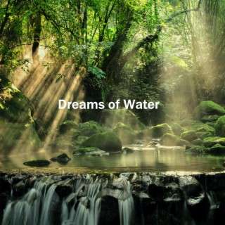 ! ! ! > Dreams of Water < ! ! !