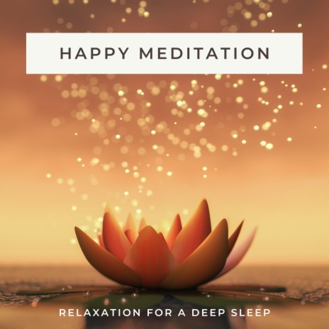 Happy Insight Meditation | Boomplay Music