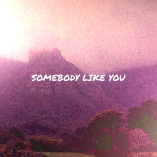 Somebody Like You