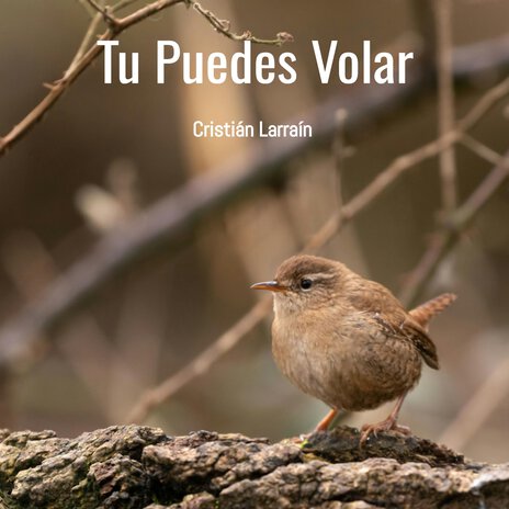 Tu Puedes Volar