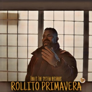 Rollito Primavera